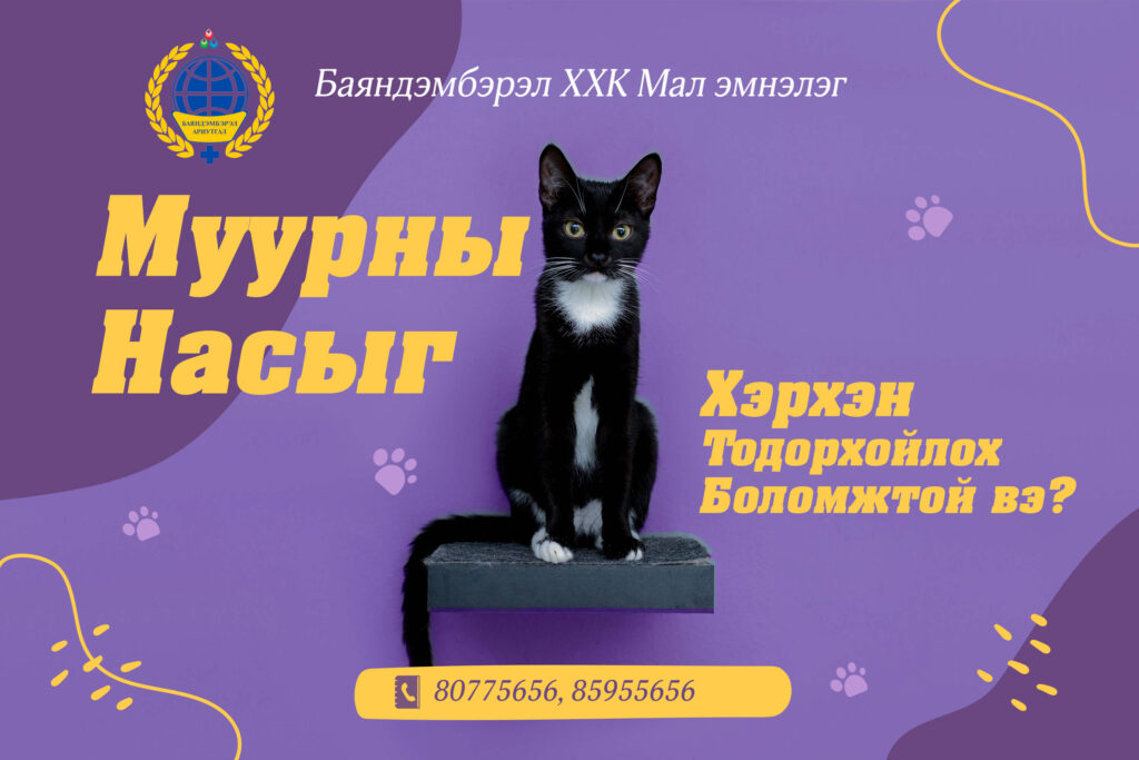 муурны насыг тодорхойлох нь