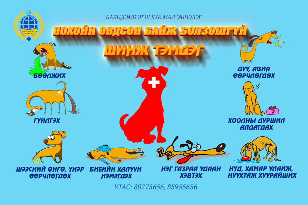 нохой өвдсөн шинж