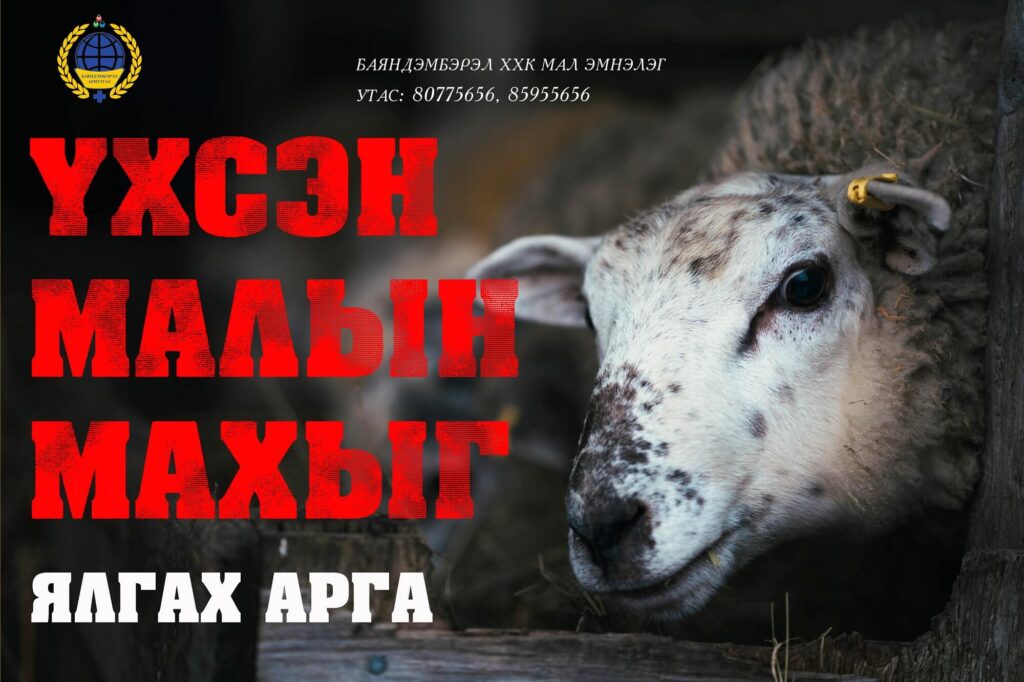Үхсэн малын мах