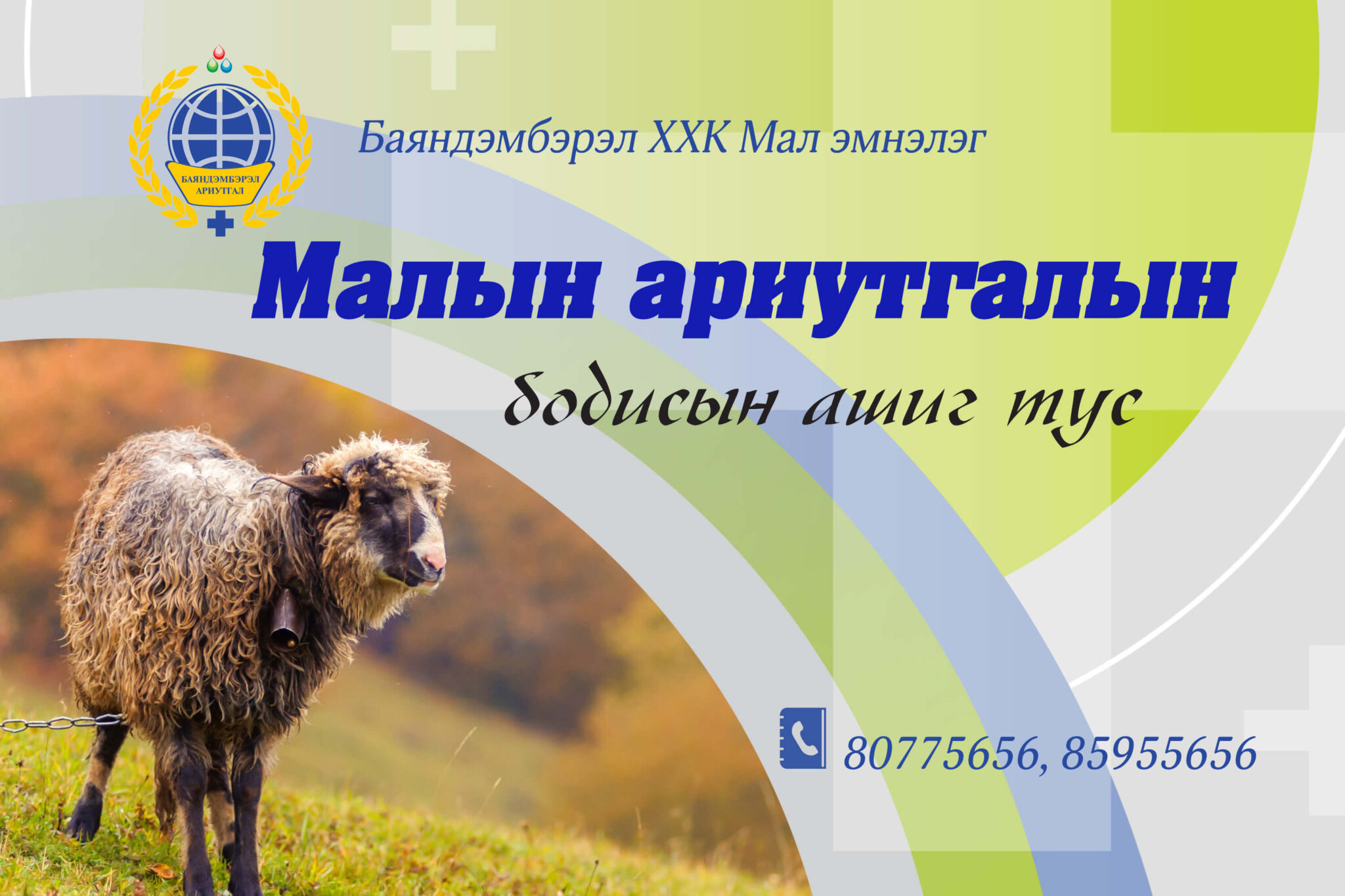 Ариутгалын бодис хэрэглэх заавар - MMARKET.MN