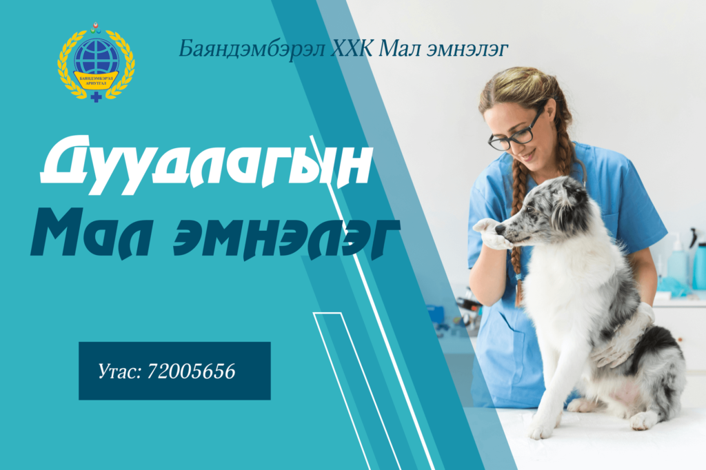 Баянзүрх Дүүргийн Мал Эмнэлэг