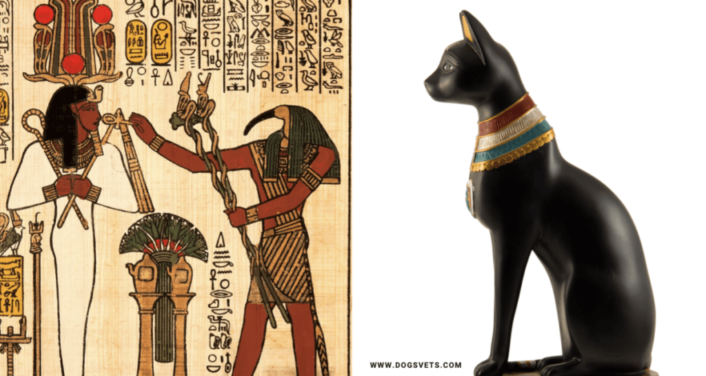 Египет муур
