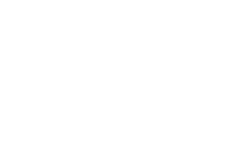 skywing logo