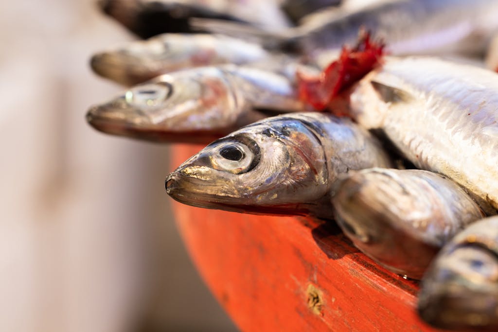 Fresh Fishes on a Wooden Tray in Close-Up Photography