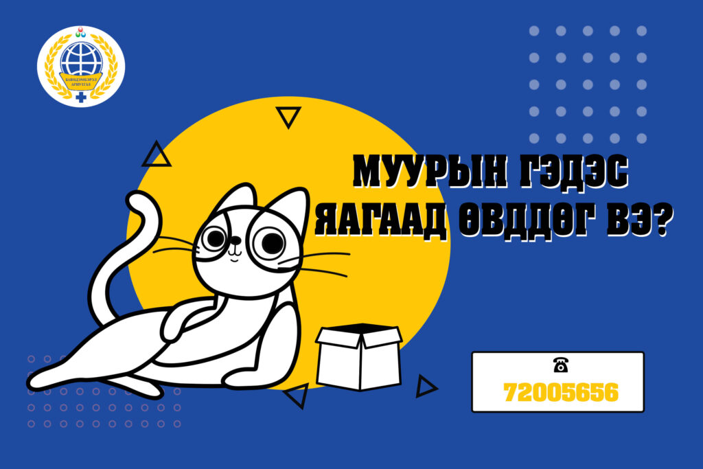 Муурын гэдэс өвдөх 6 шалтгаан