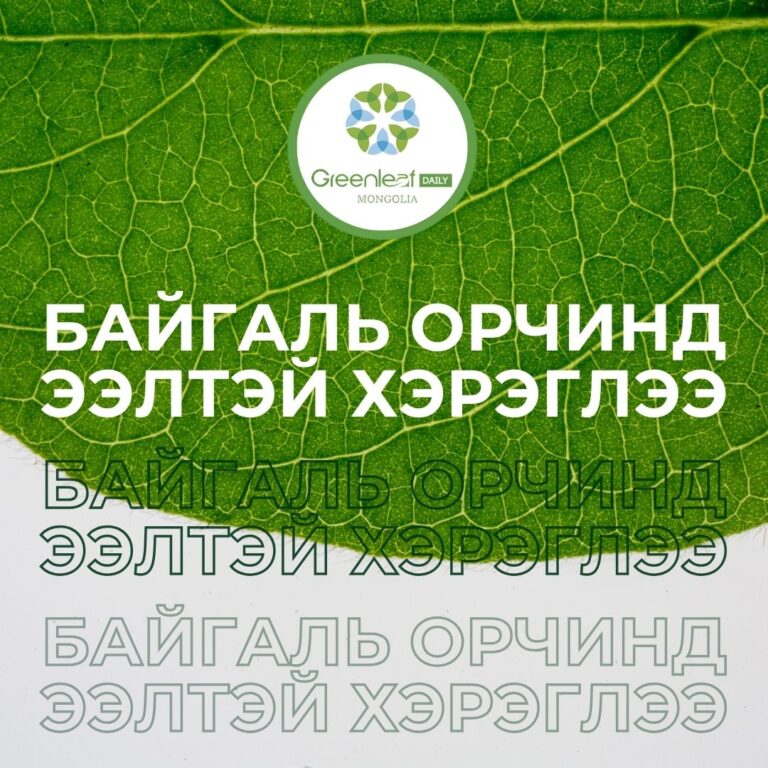 Байгаль орчинд ээлтэй хэрэглээ