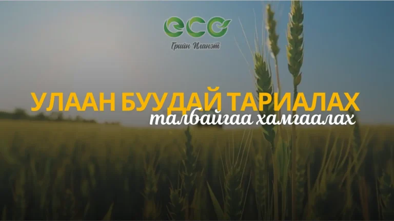 Феноксапроп-П-Этил + 2,4-Д Эфир гербицид