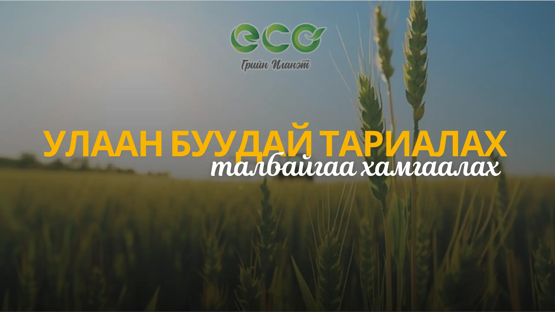 Феноксапроп-П-Этил + 2,4-Д Эфир Гербицид