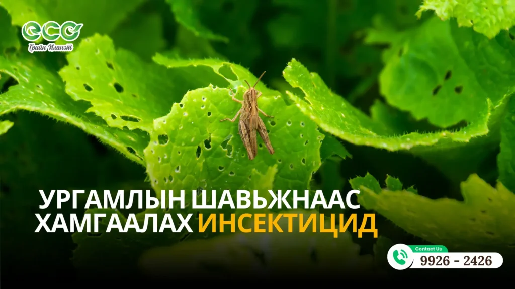 УРГАМЛЫН шавьжнаас ХАМГААЛАХ Инсектицид